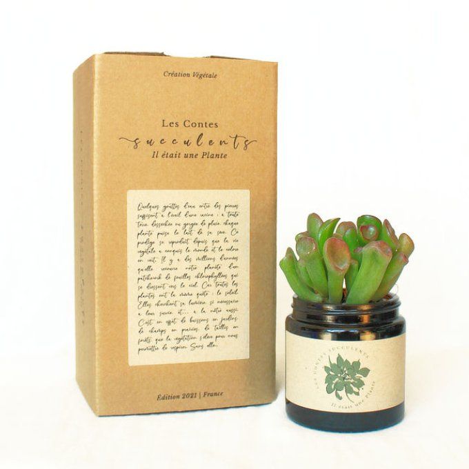 Box plante  Coffret cadeau personnalisé Made in France