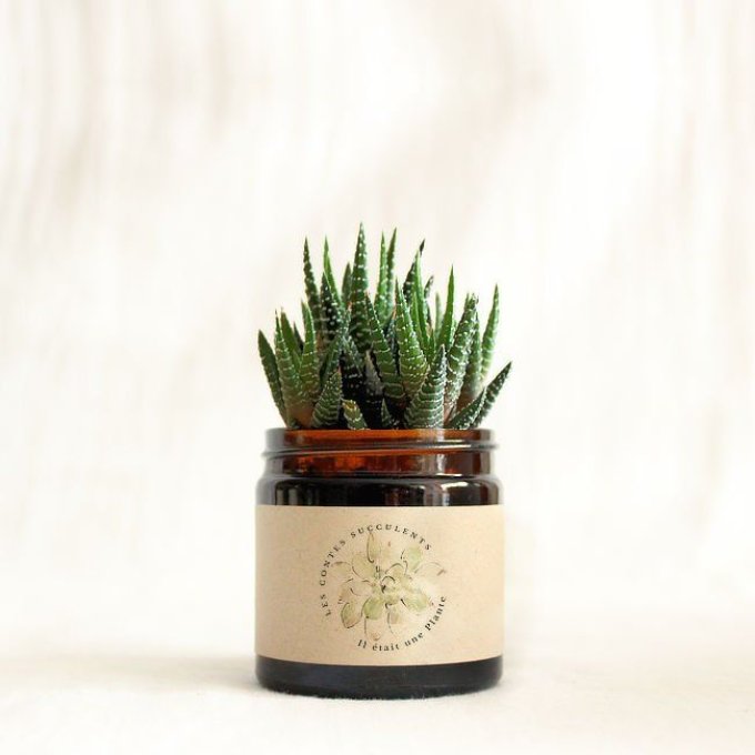 La Succulente | 60 ml 