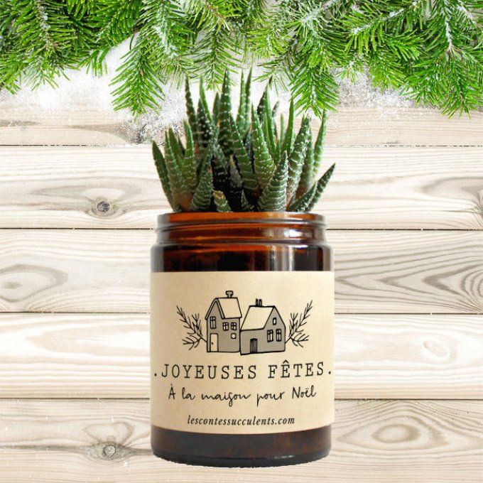 La Succulente de Noël | 180 ml