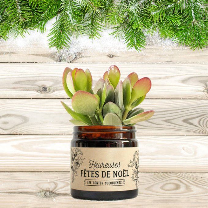 La Succulente de Noël | 60 ml 