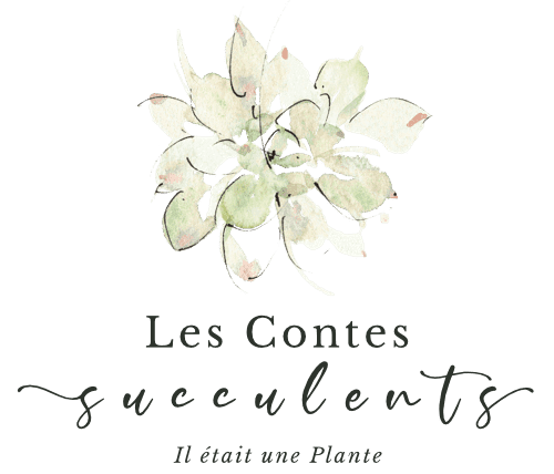 Quatuor de Succulentes • Les Francettes®